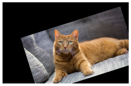 Aligned cat image