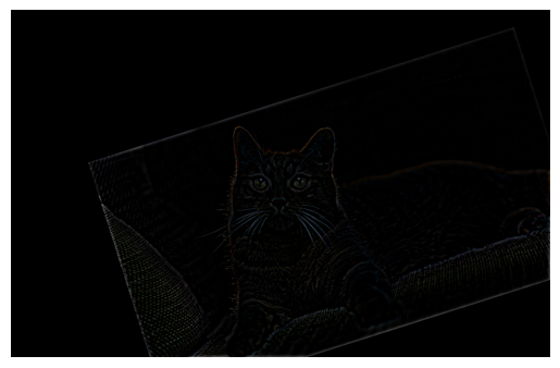 Filtered cat image