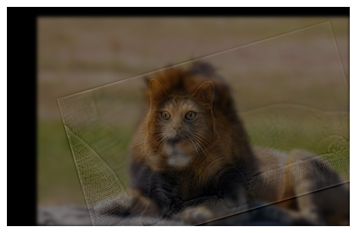 Hybrid of cat and lion