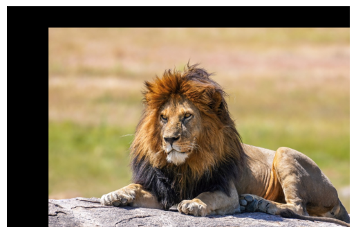 Aligned lion image