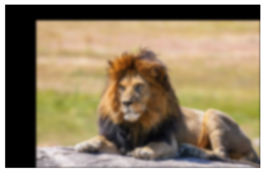 Filtered lion image