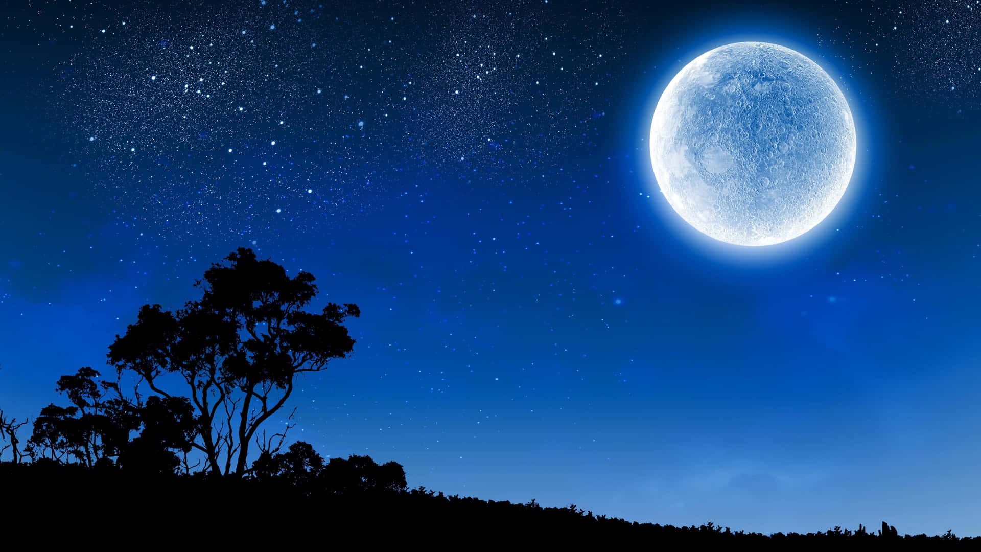 Night sky